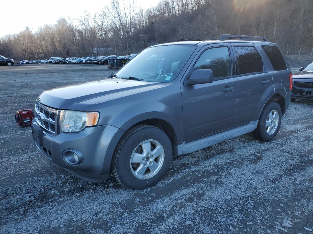 2010 FORD ESCAPE XLT
