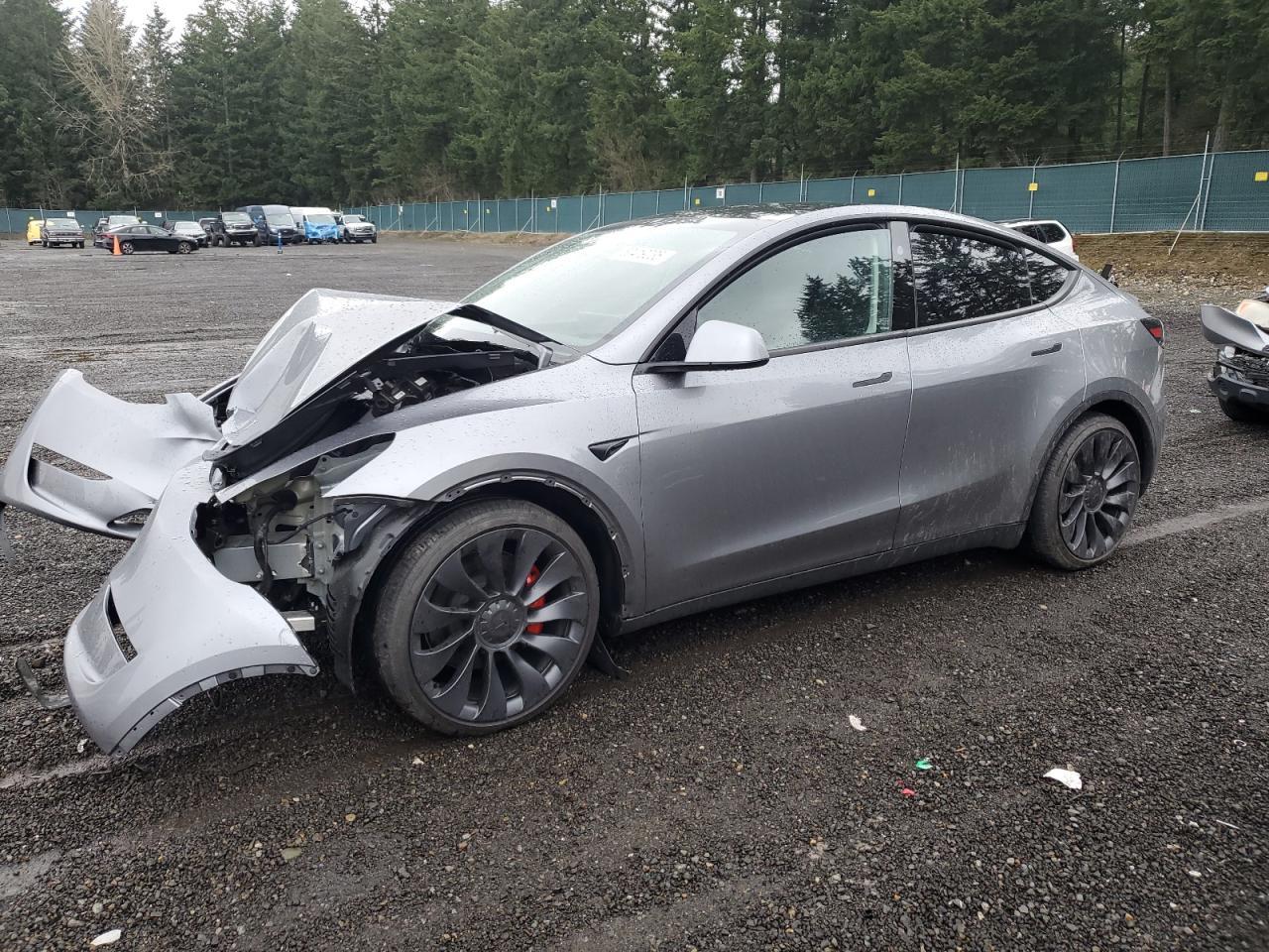 2025 TESLA MODEL Y