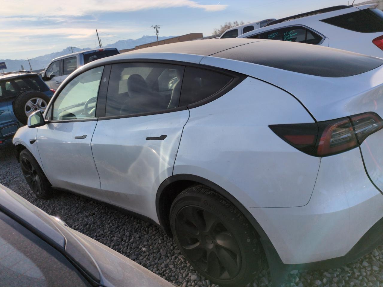 2023 TESLA MODEL Y - Фото 2