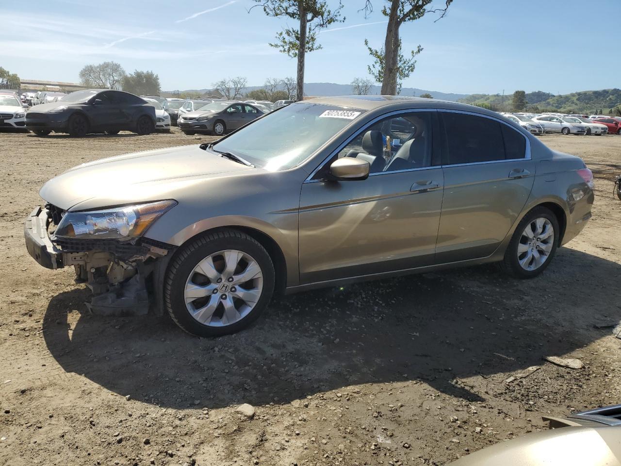 2010 HONDA ACCORD EXL