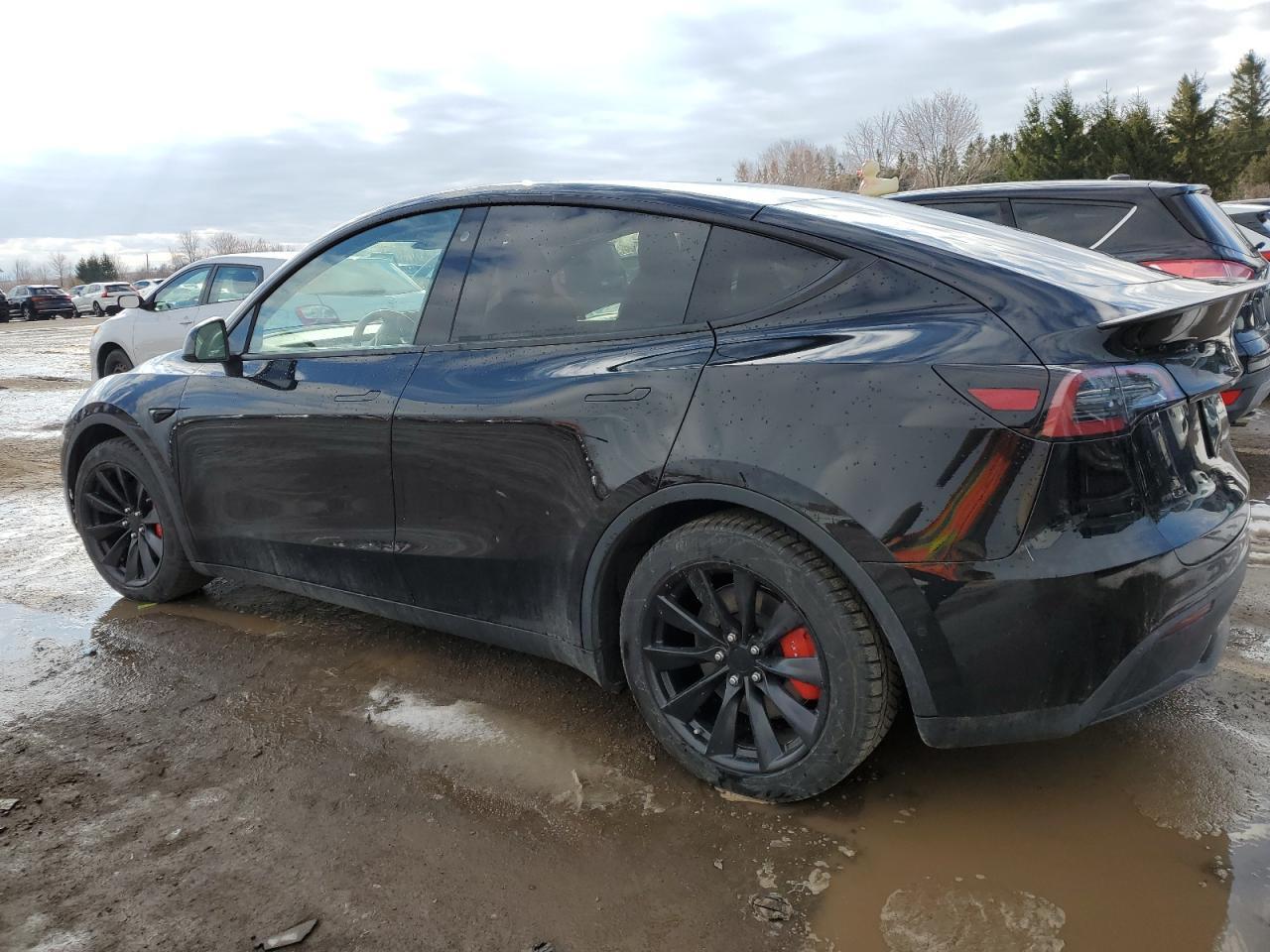 2022 TESLA MODEL Y - Image 2