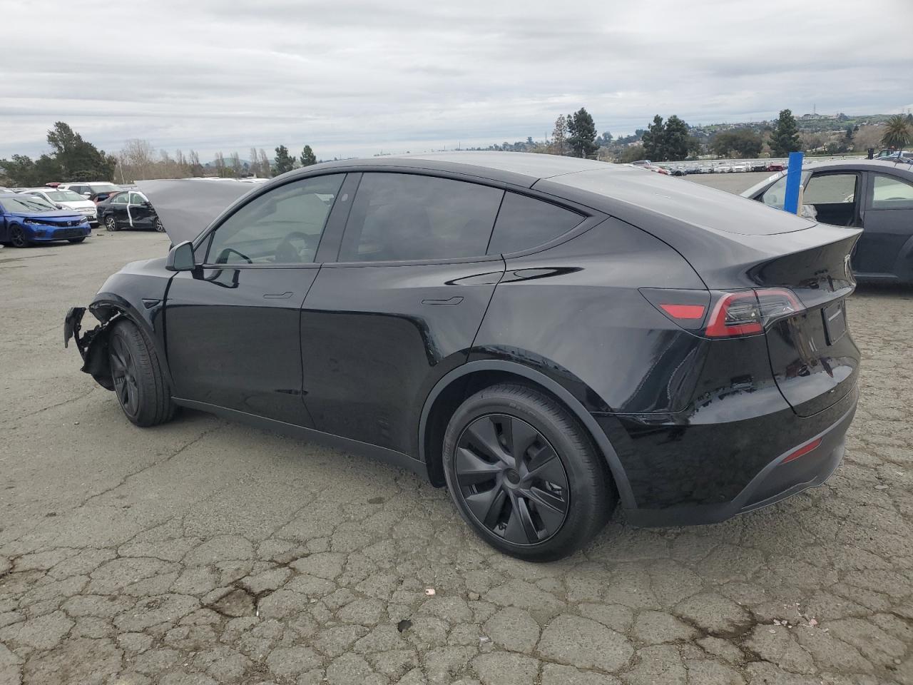 2025 TESLA MODEL Y - Image 2
