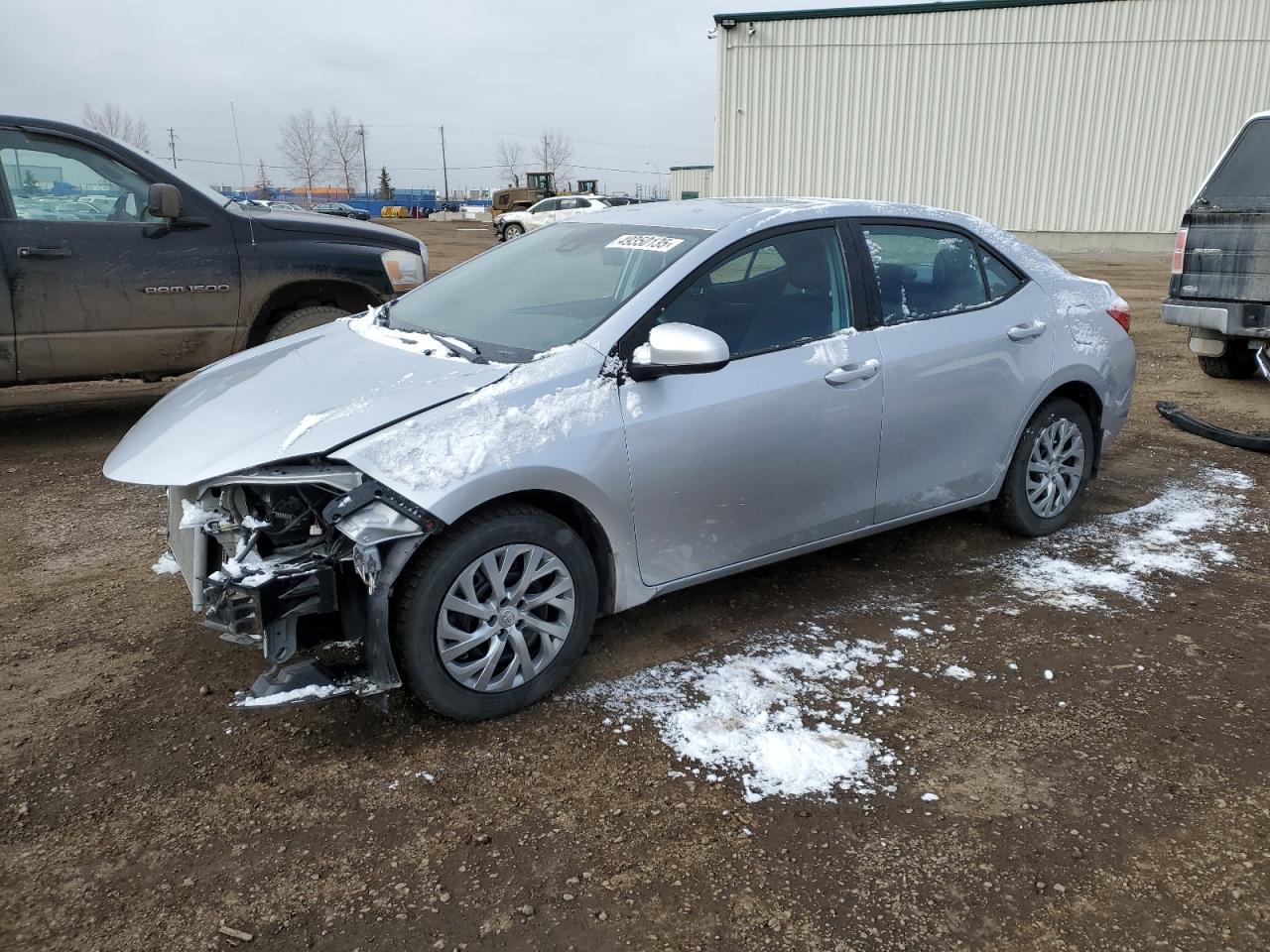 2019 TOYOTA COROLLA L