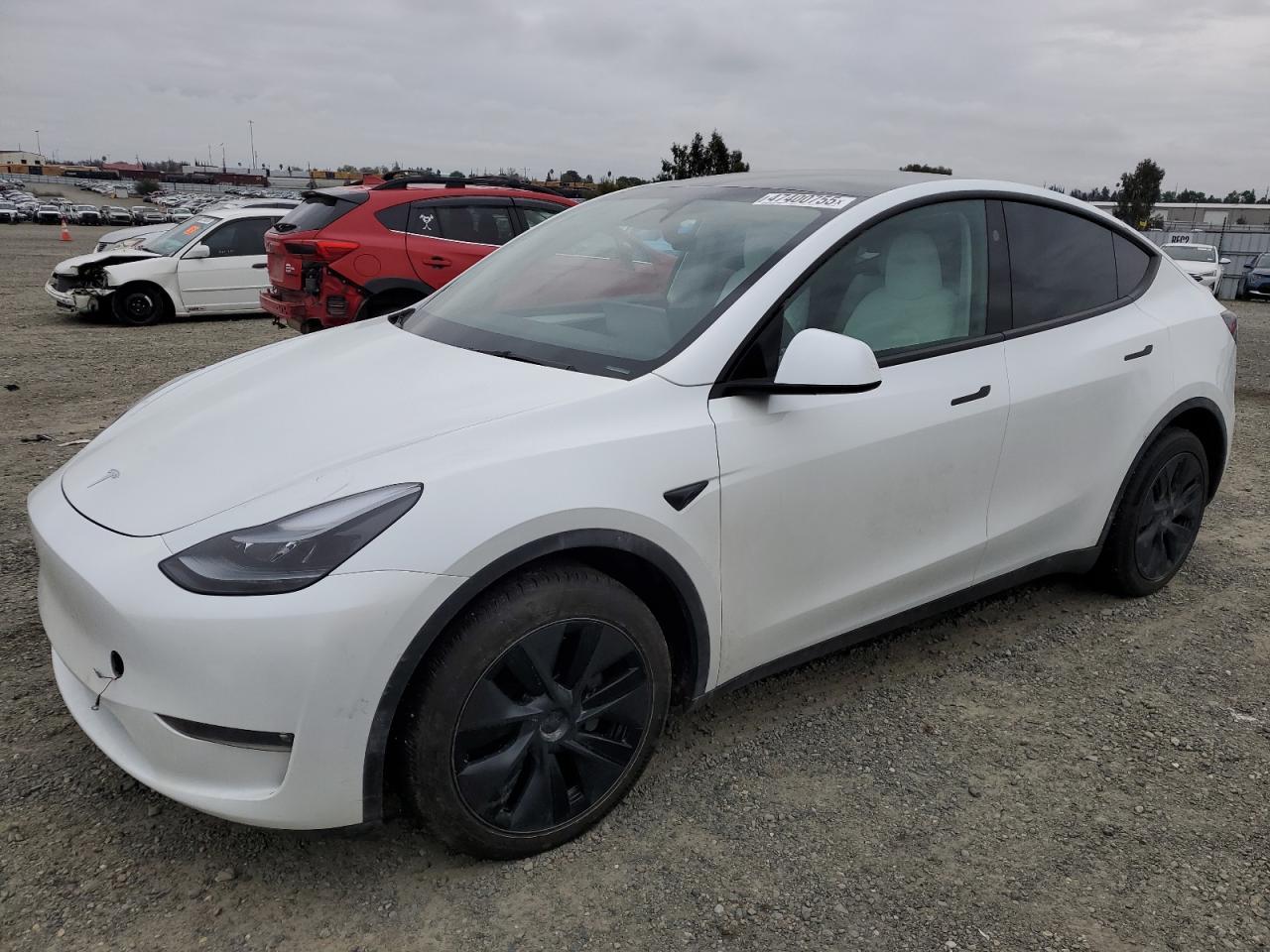 2024 TESLA MODEL Y