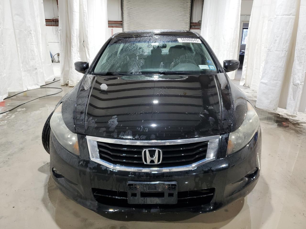 2010 HONDA ACCORD EXL - Image 5