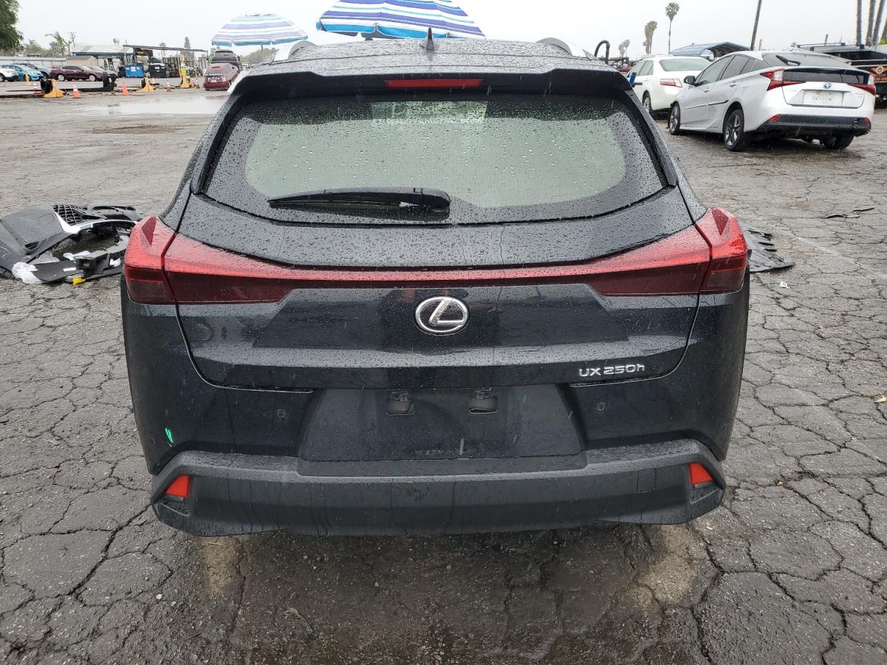 2023 LEXUS UX 250H BA - Фото 6