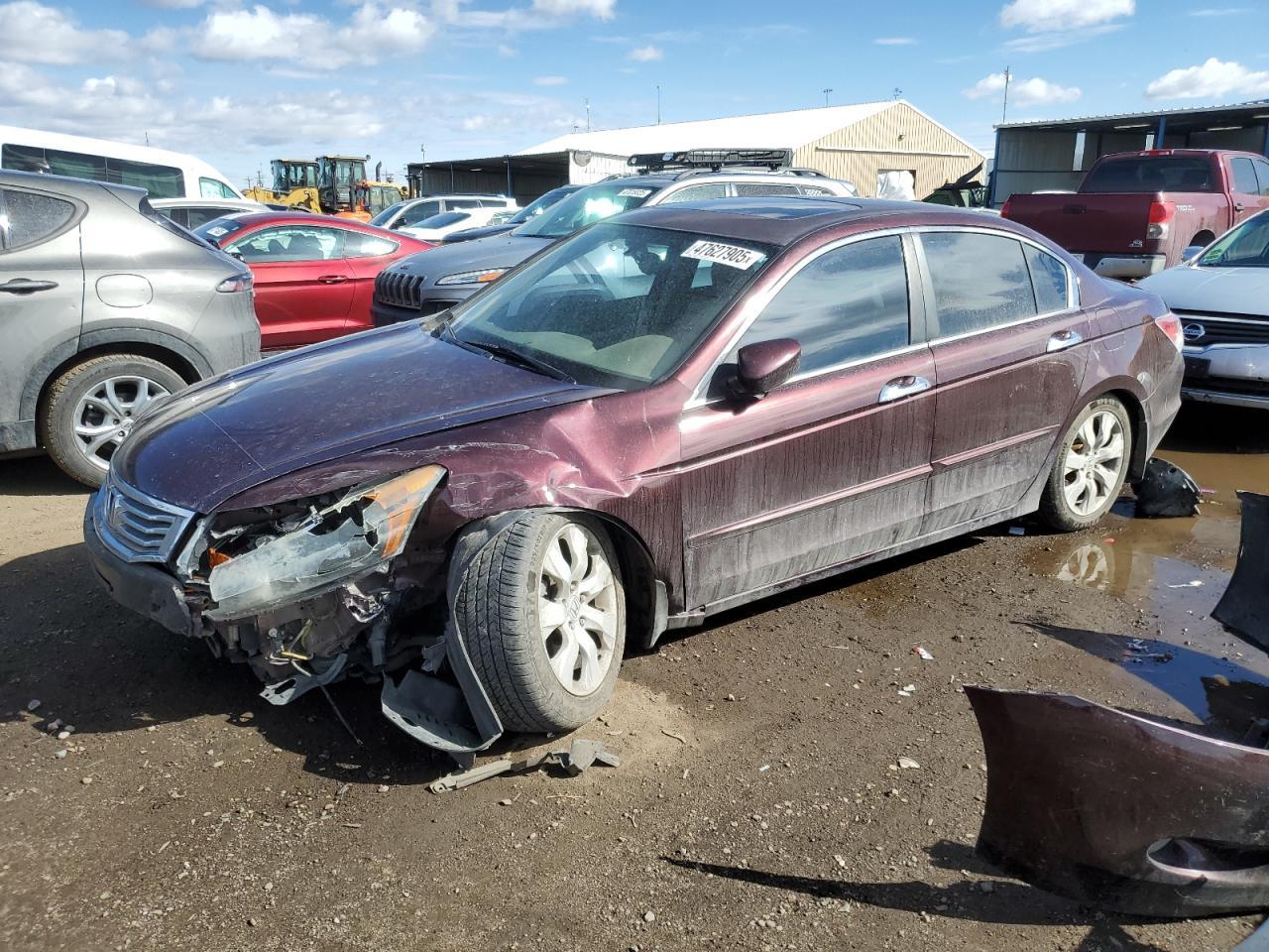 2010 HONDA ACCORD EXL