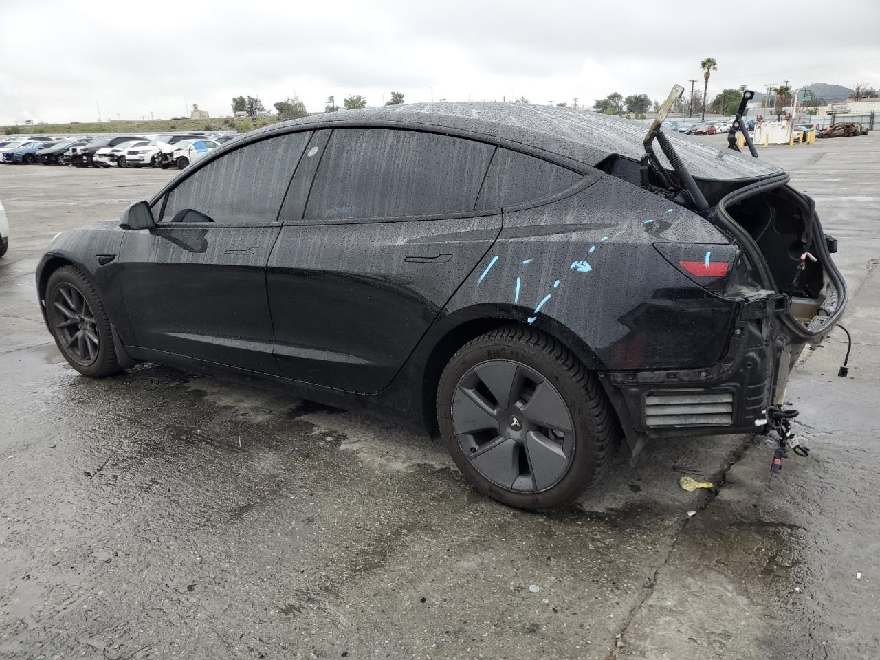 2021 TESLA MODEL 3 - Фото 2