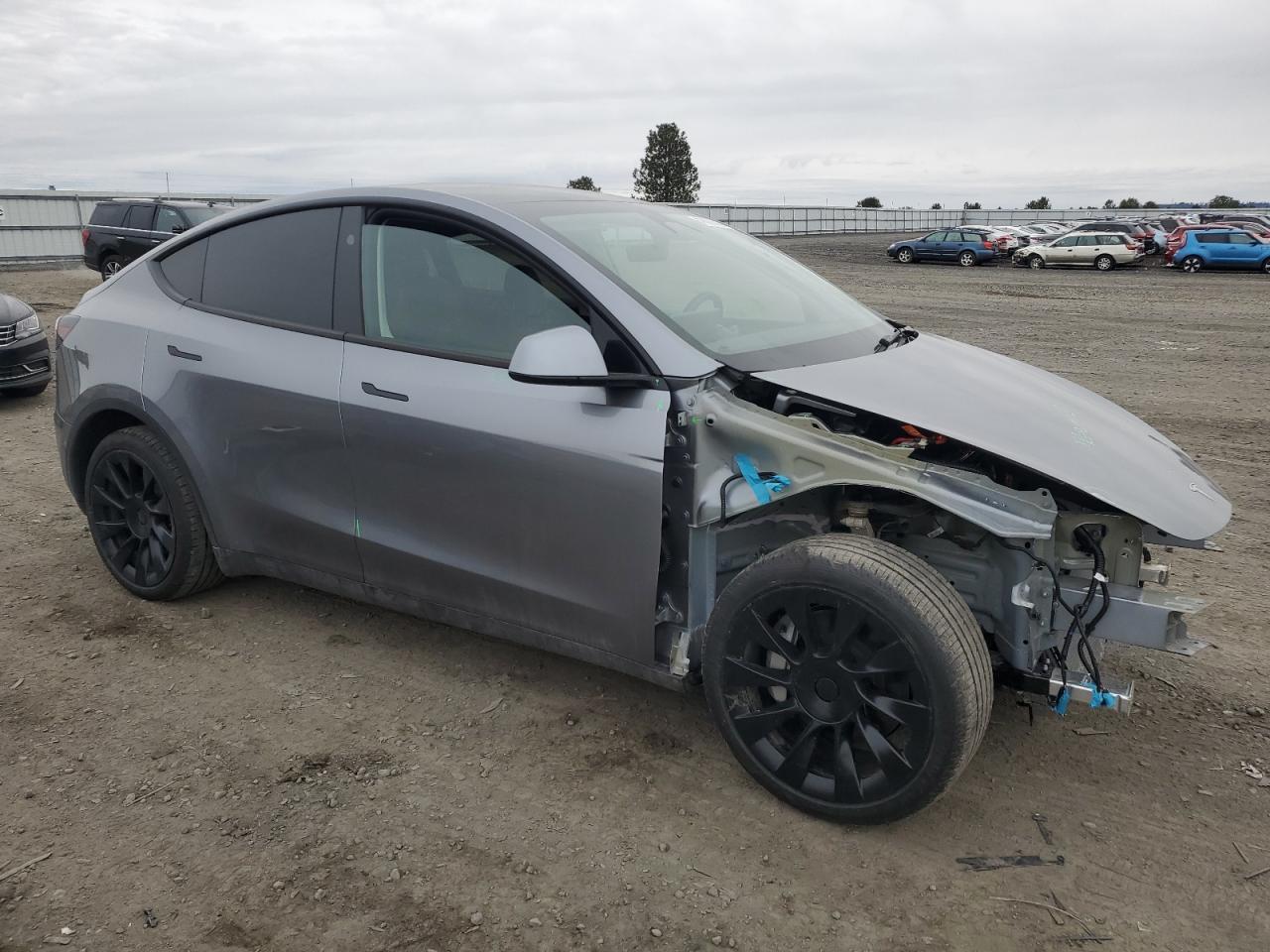 2025 TESLA MODEL Y - Image 4