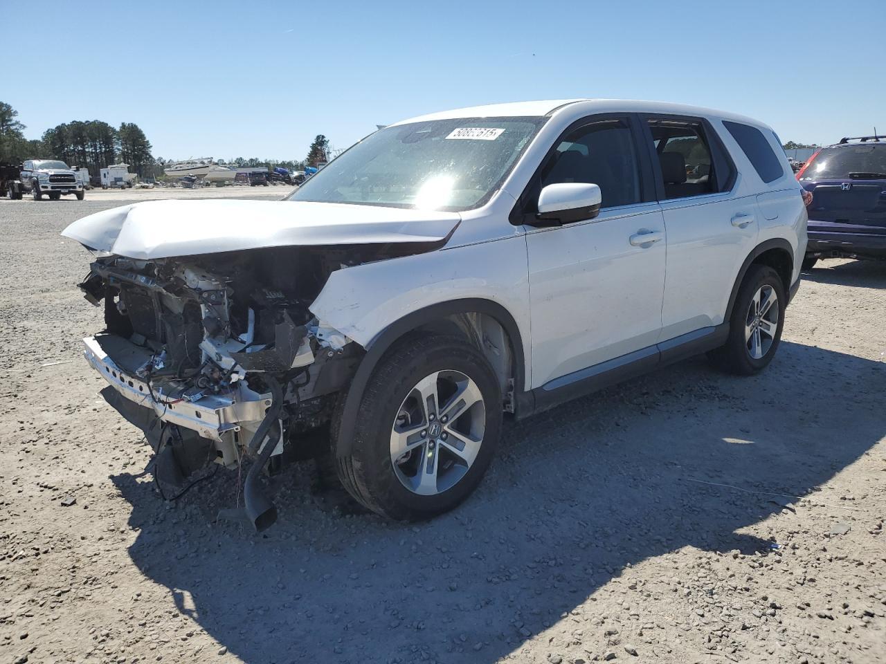 2024 HONDA PILOT EXL