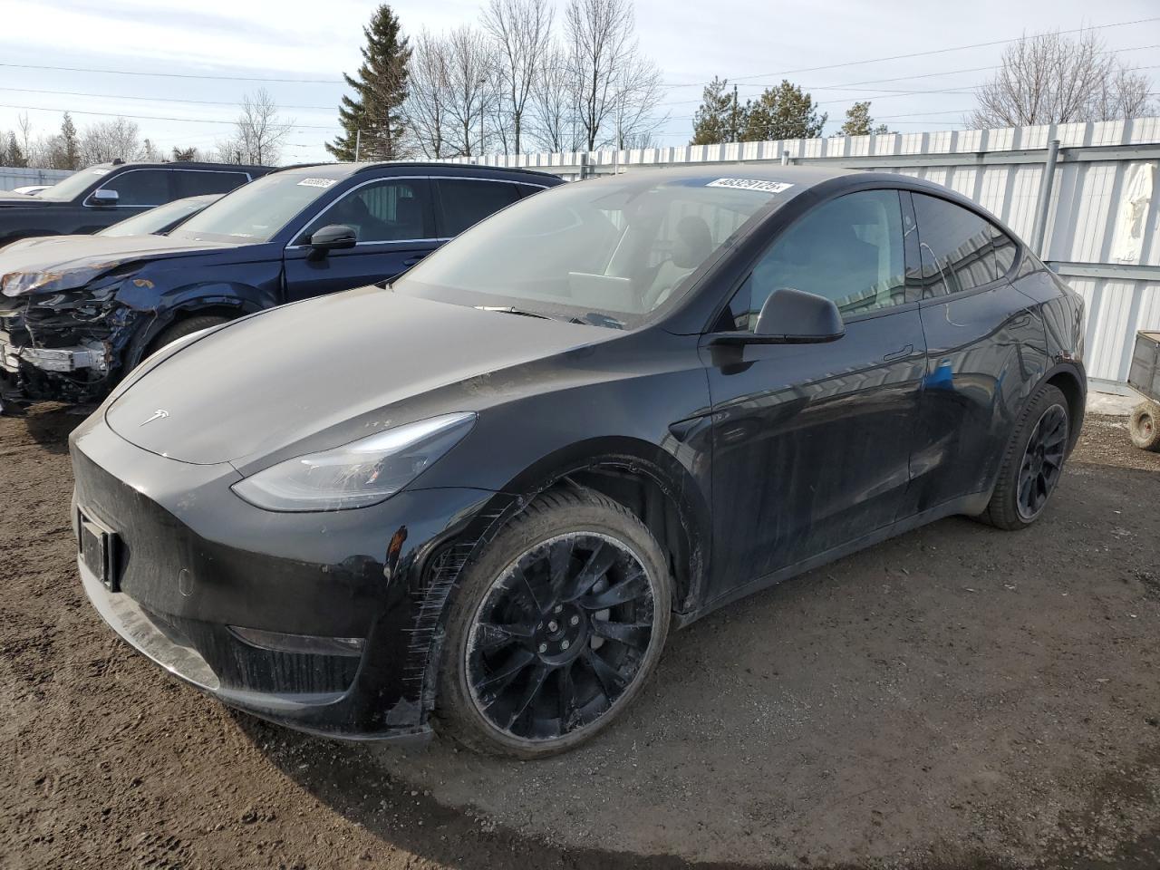 2024 TESLA MODEL Y