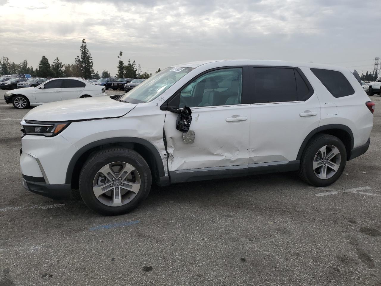 2024 HONDA PILOT EXL