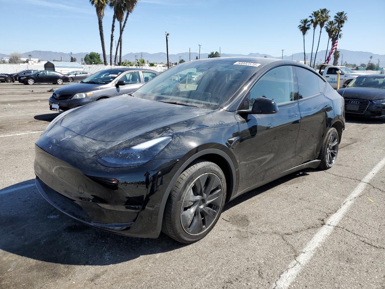 2024 TESLA MODEL Y