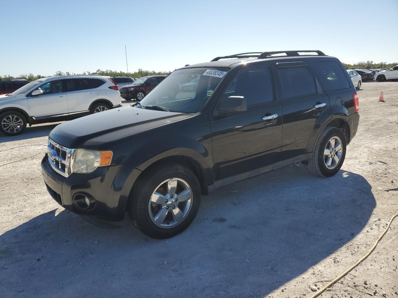 2010 FORD ESCAPE XLT
