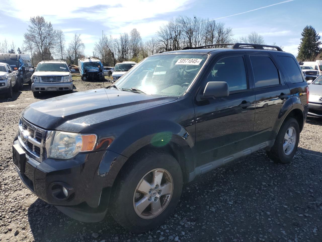 2010 FORD ESCAPE XLT