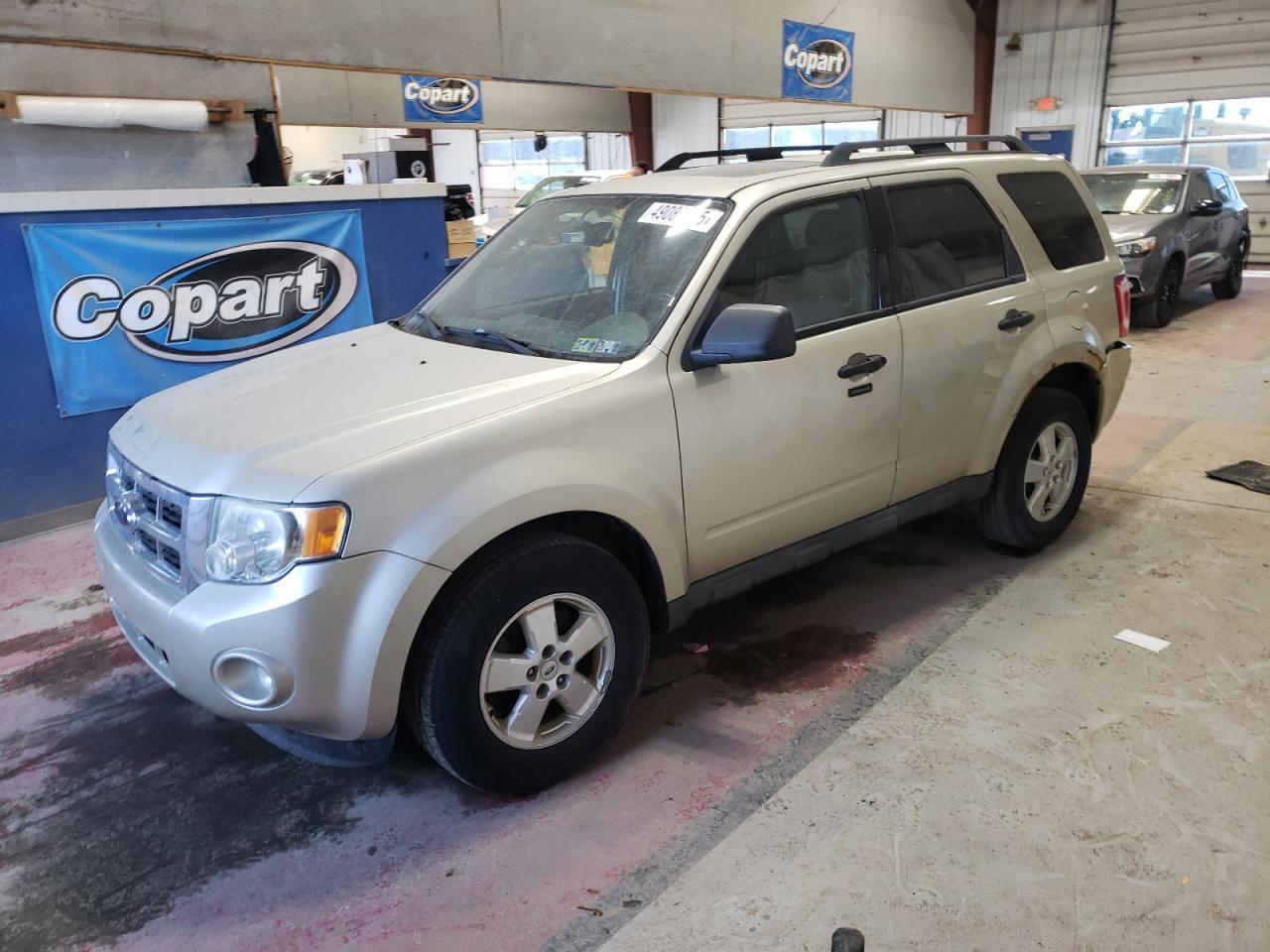 2010 FORD ESCAPE XLT