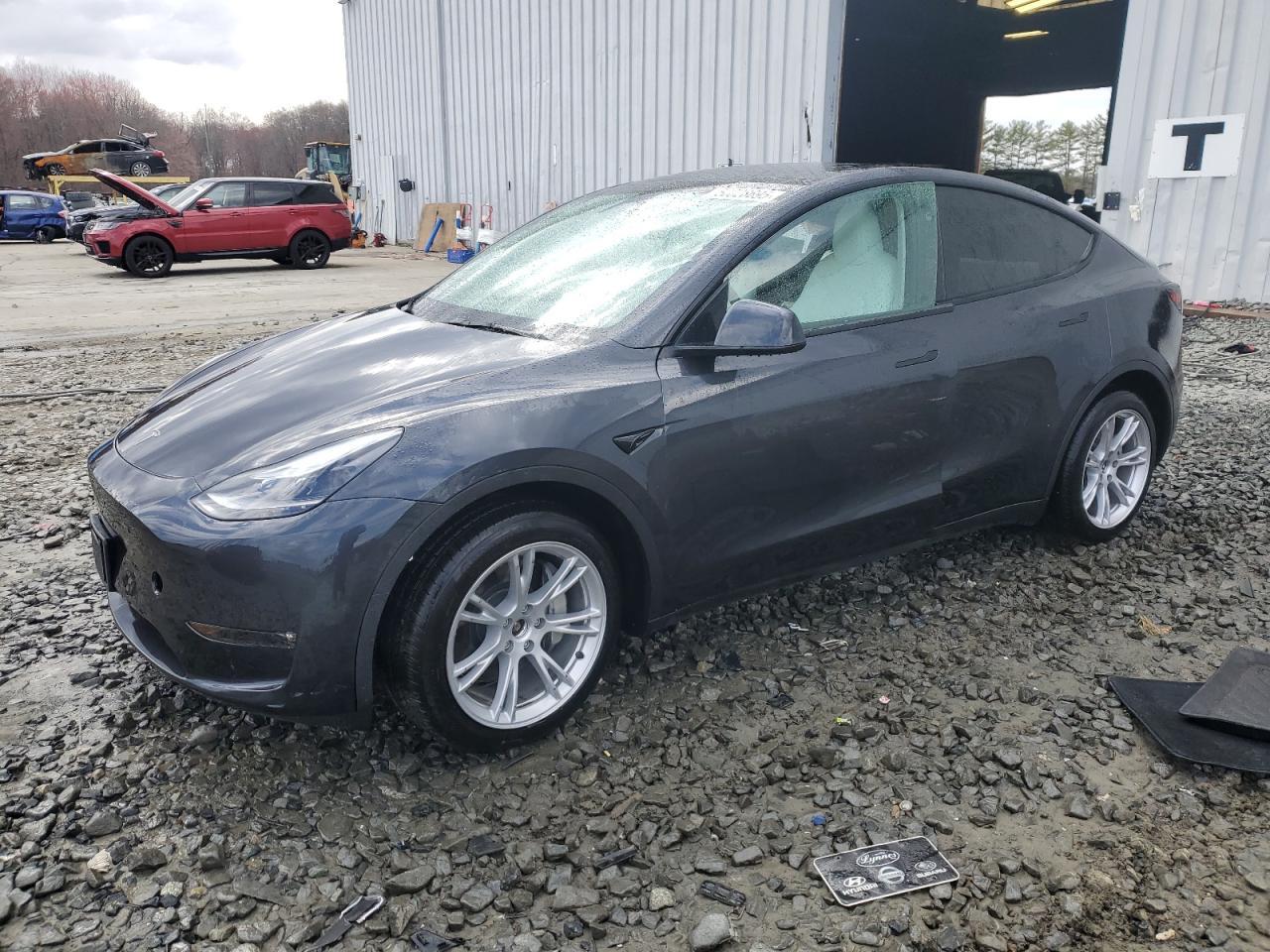 2024 TESLA MODEL Y