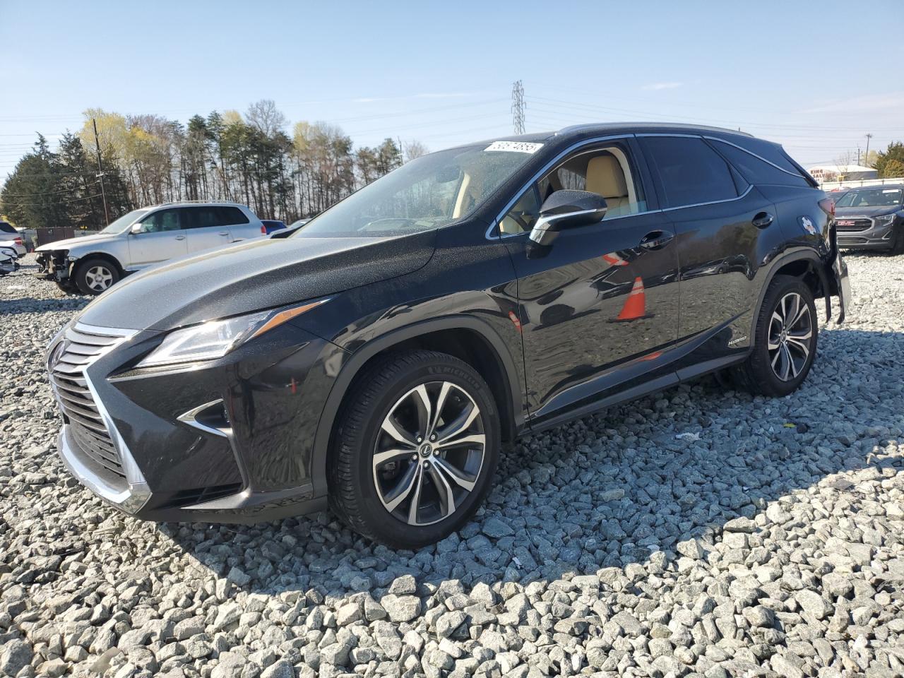 2019 LEXUS RX 450H L