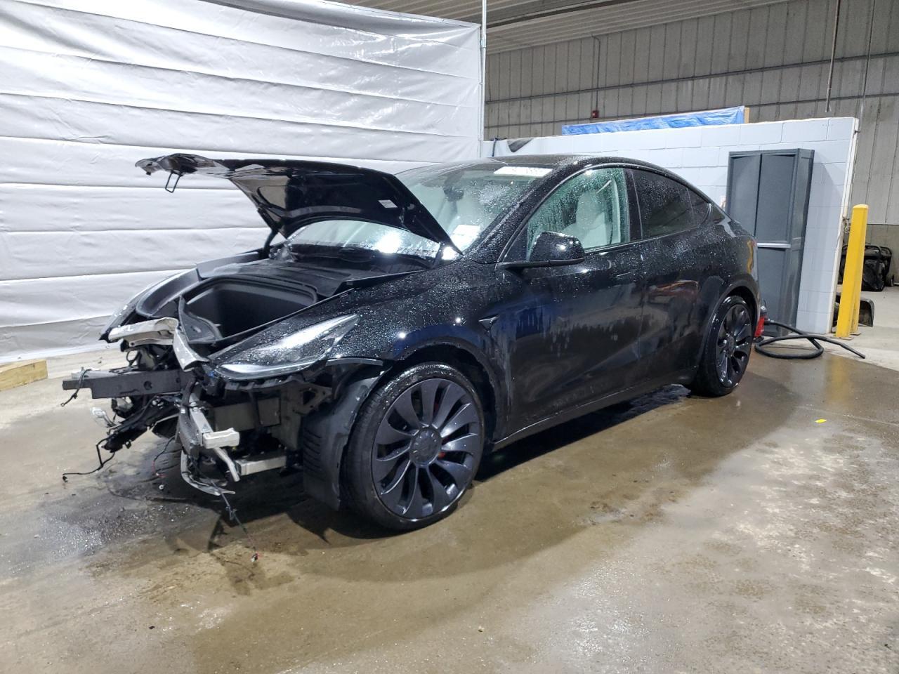 2025 TESLA MODEL Y