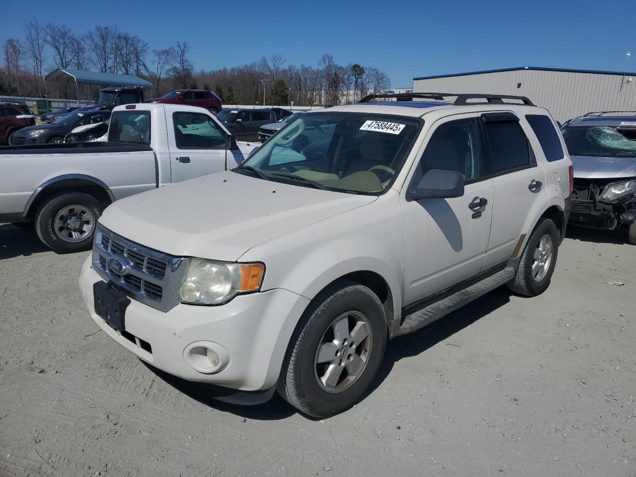 2010 FORD ESCAPE XLT