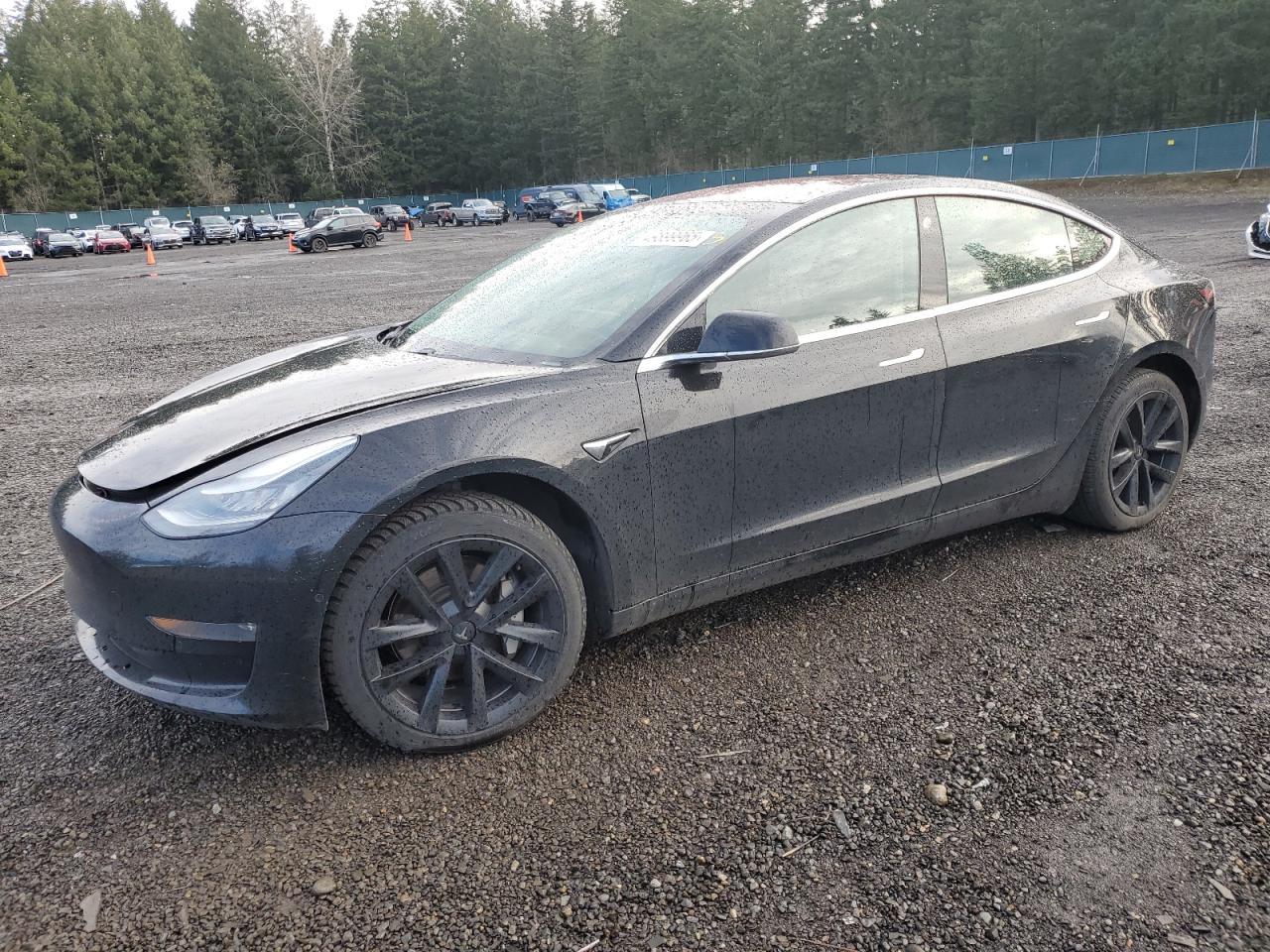 2019 TESLA MODEL 3