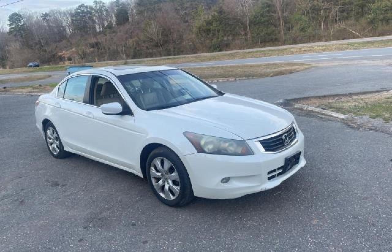 2010 HONDA ACCORD EXL