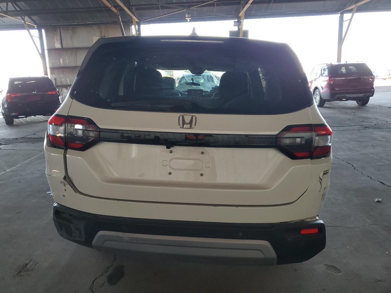2024 HONDA PILOT EXL - Image 6
