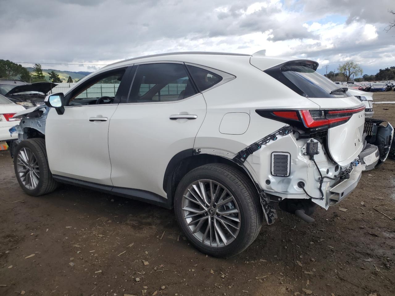 2024 LEXUS NX 350H BA - Image 2