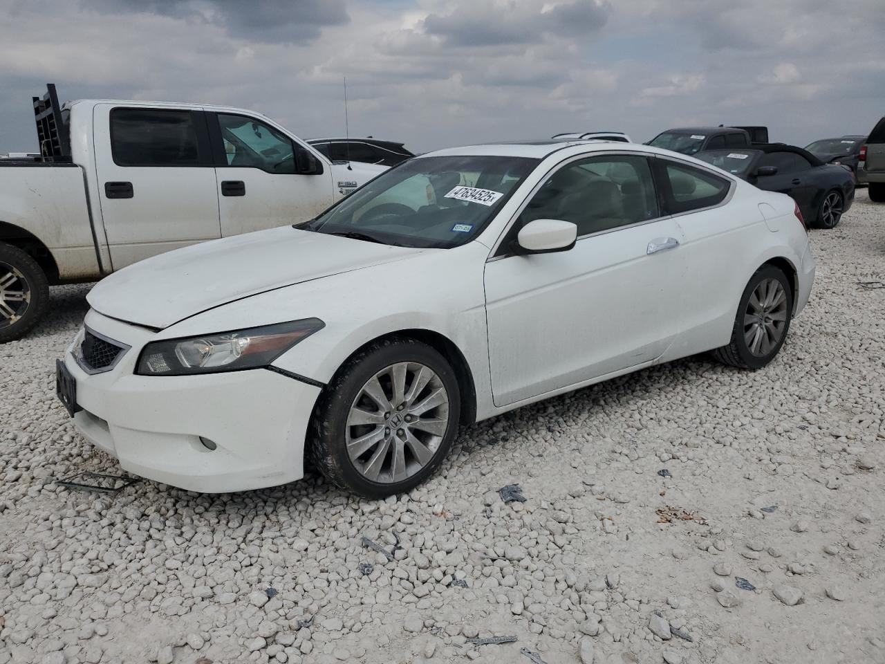 2010 HONDA ACCORD EXL