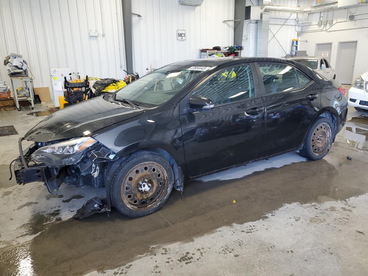 2019 TOYOTA COROLLA L
