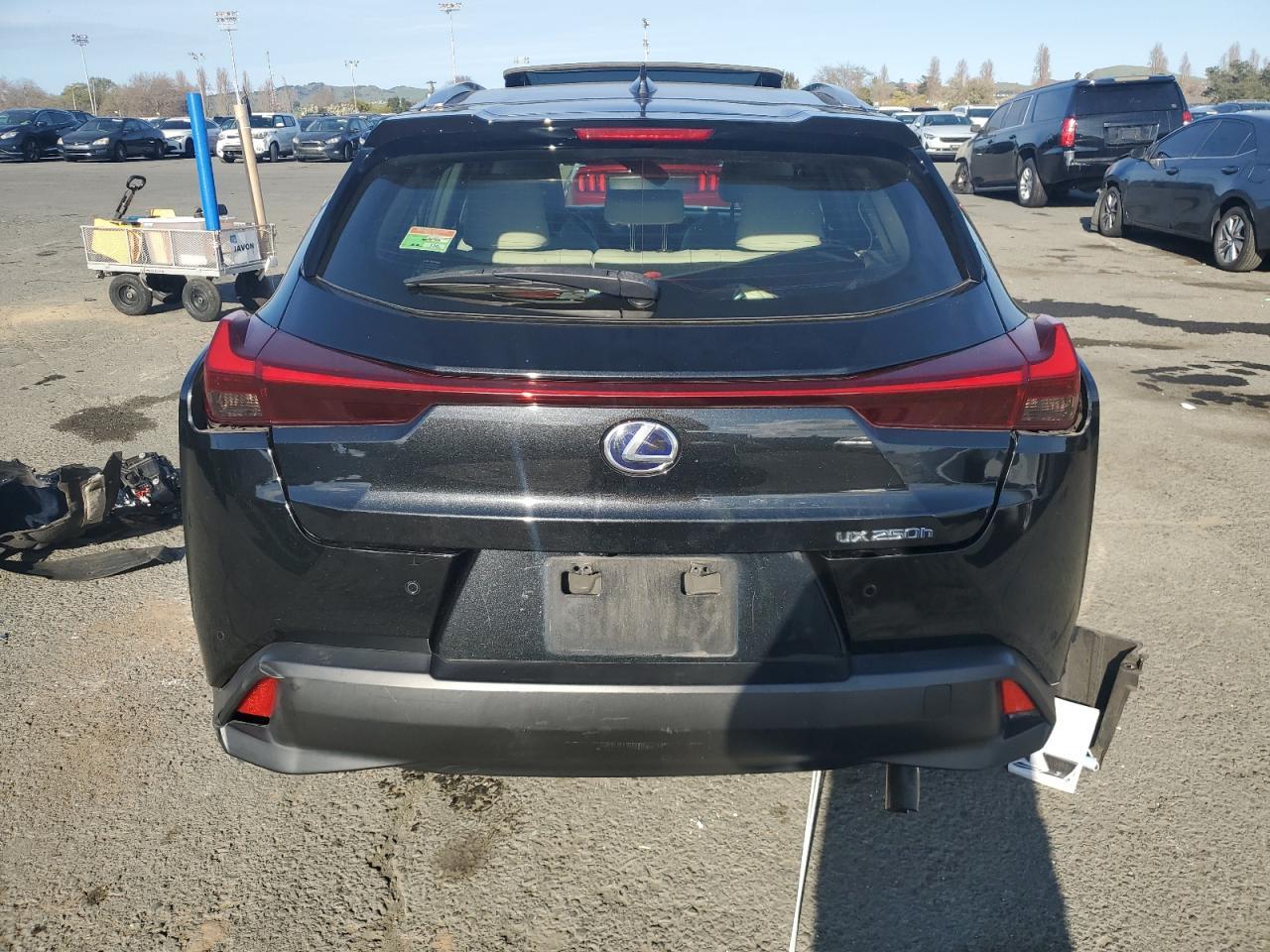 2020 LEXUS UX 250H - Фото 6