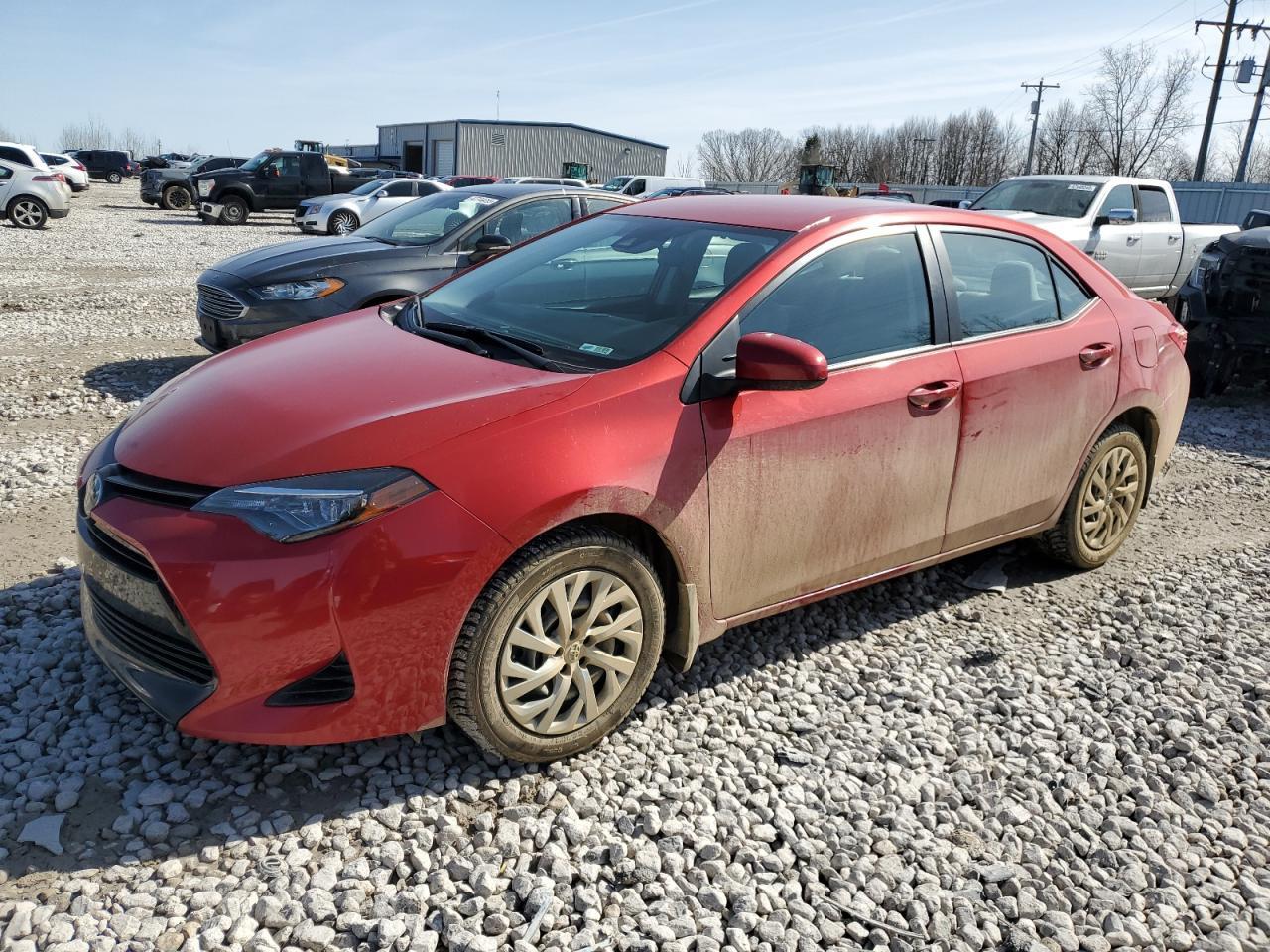 2019 TOYOTA COROLLA L