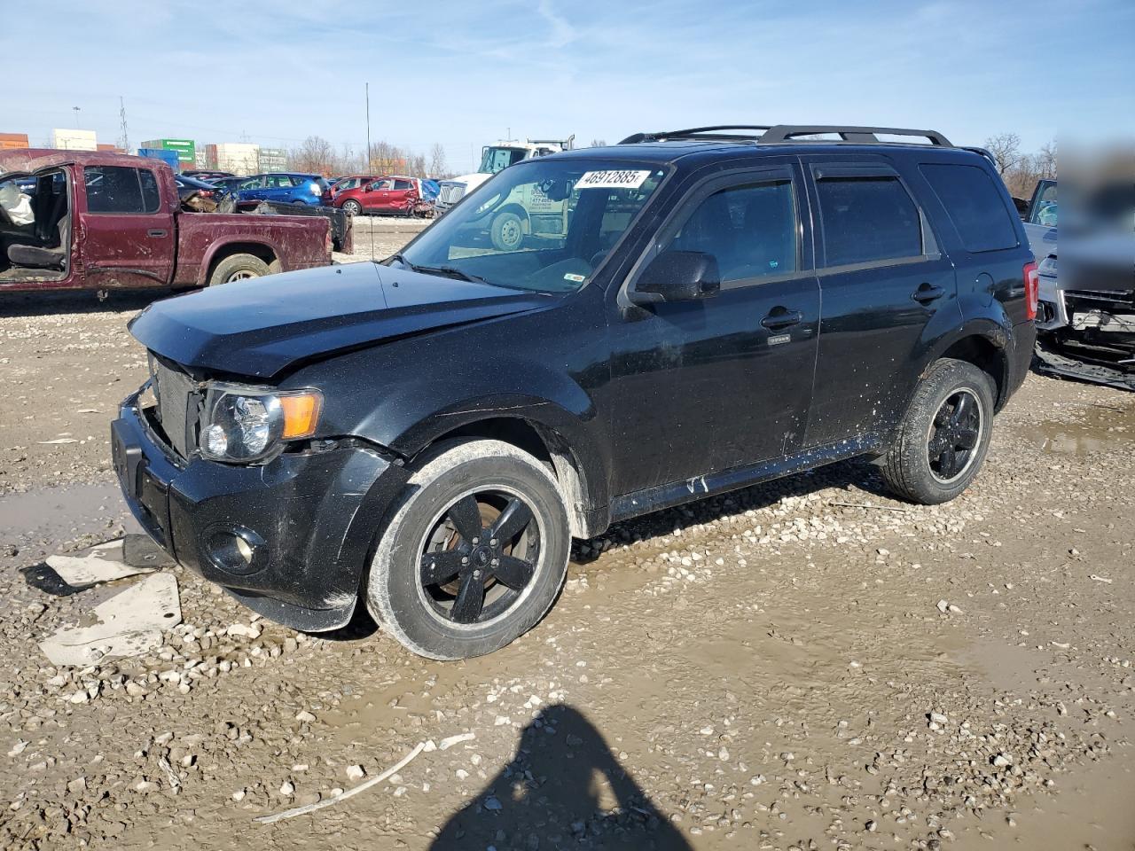 2010 FORD ESCAPE XLT