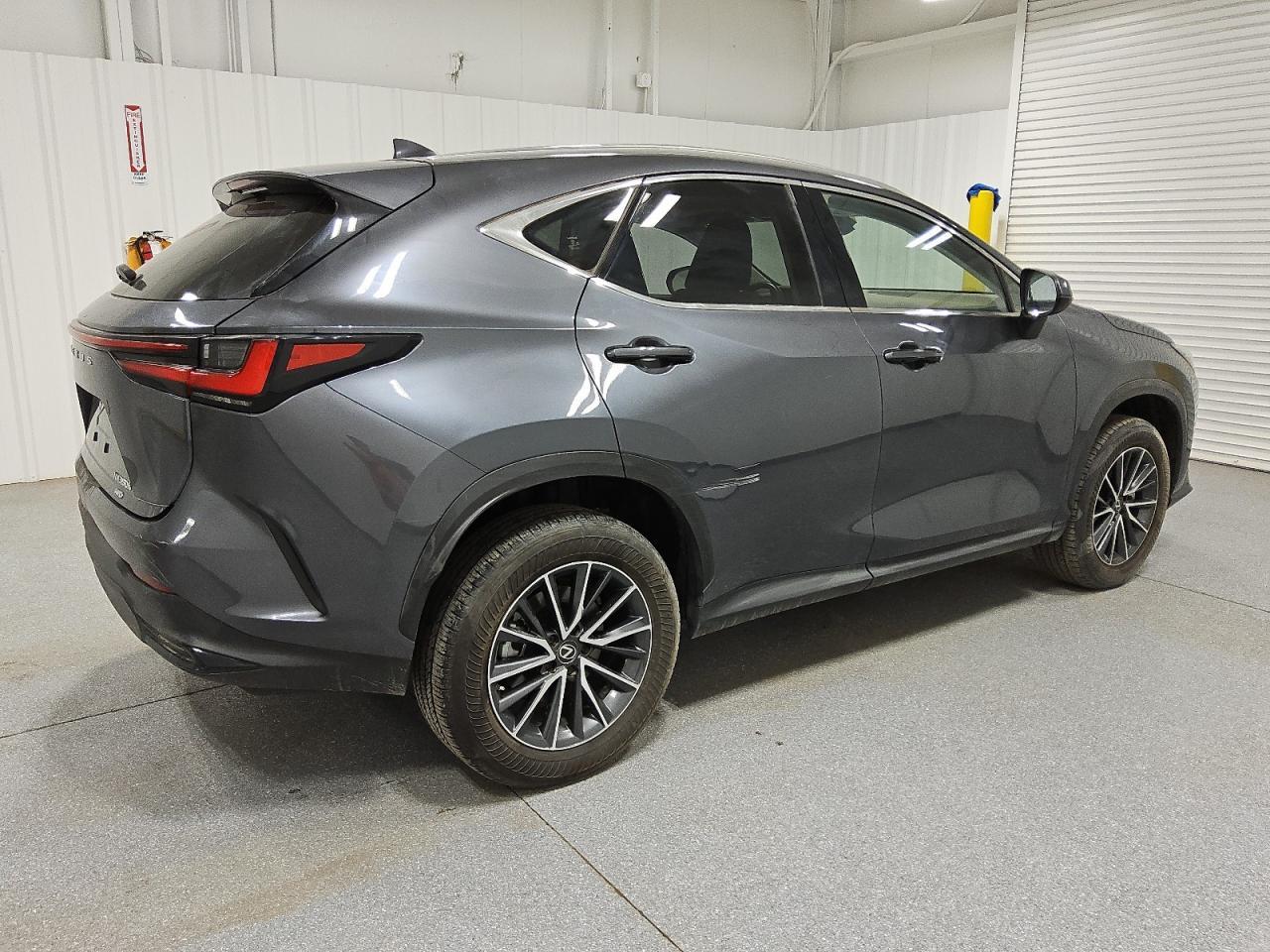 2023 LEXUS NX 350H - Image 3