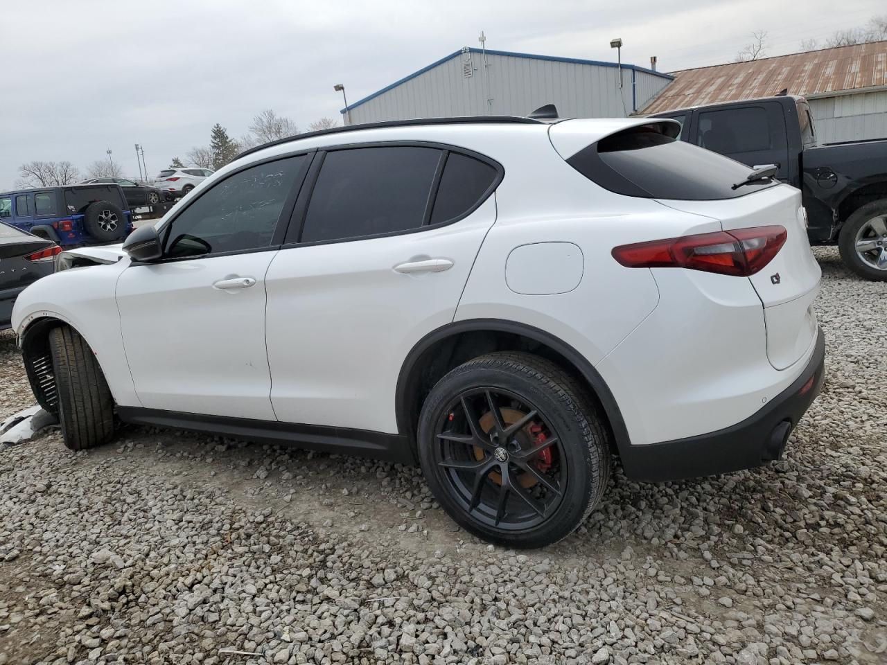 2019 ALFA ROMEO STELVIO TI - Фото 2