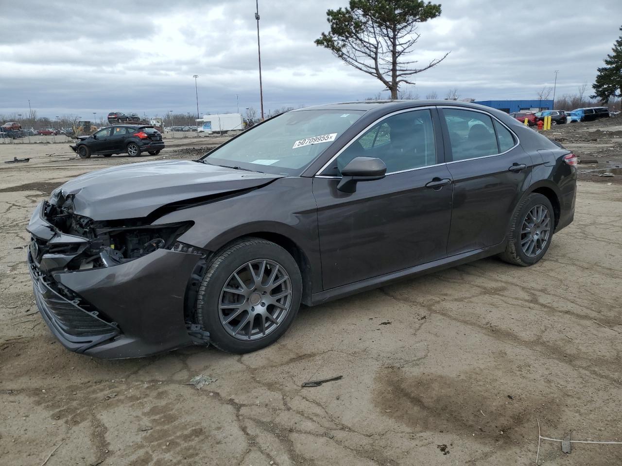 2019 TOYOTA CAMRY L