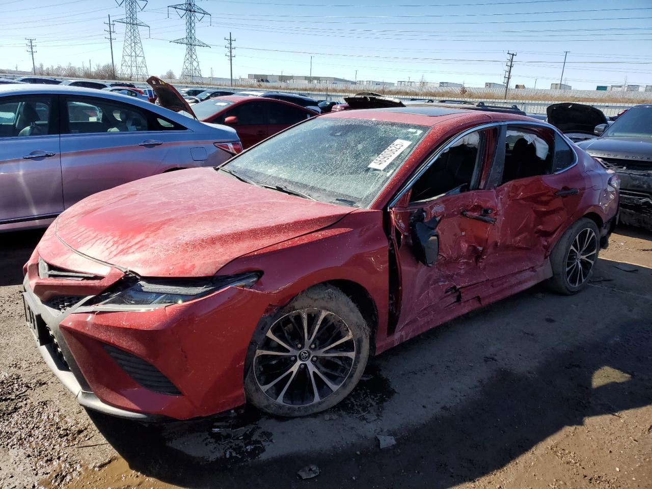2019 TOYOTA CAMRY L