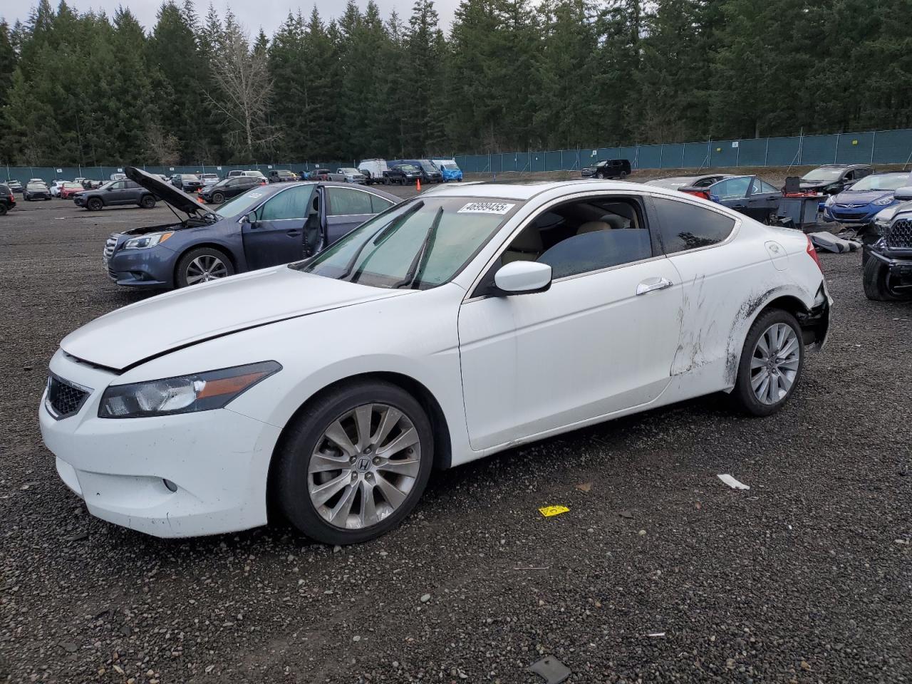 2010 HONDA ACCORD EXL