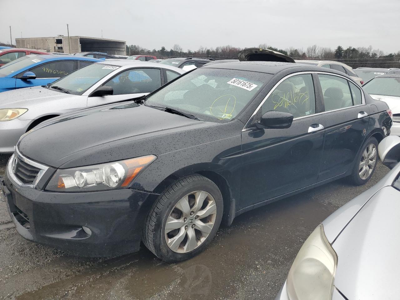 2010 HONDA ACCORD EXL