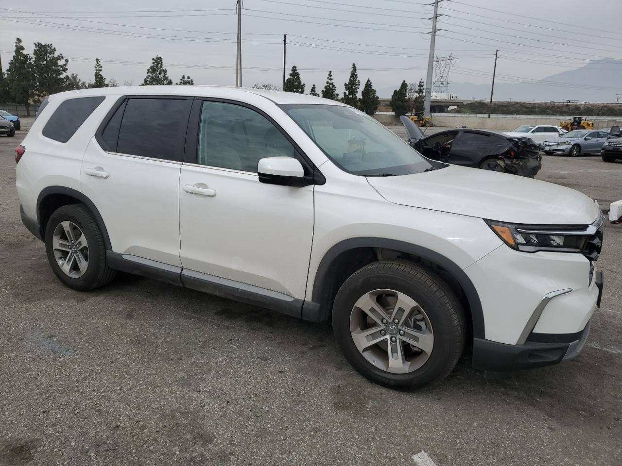 2024 HONDA PILOT EXL - Image 4