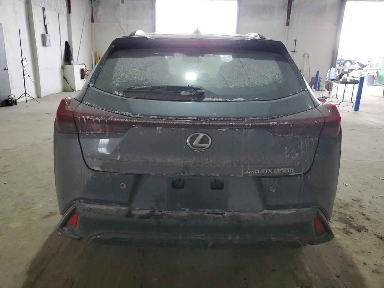 2023 LEXUS UX 250H BA - Фото 6