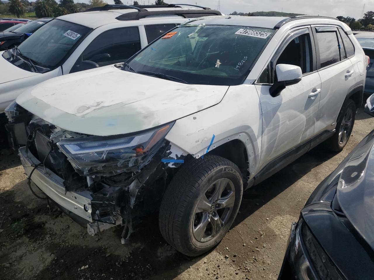 2023 TOYOTA RAV4 LE