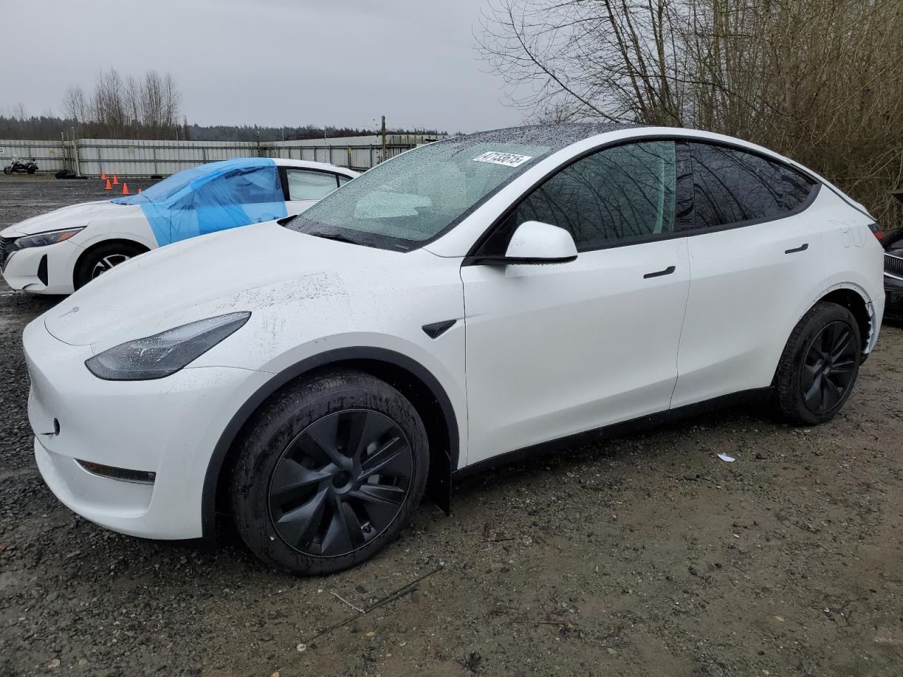 2025 TESLA MODEL Y