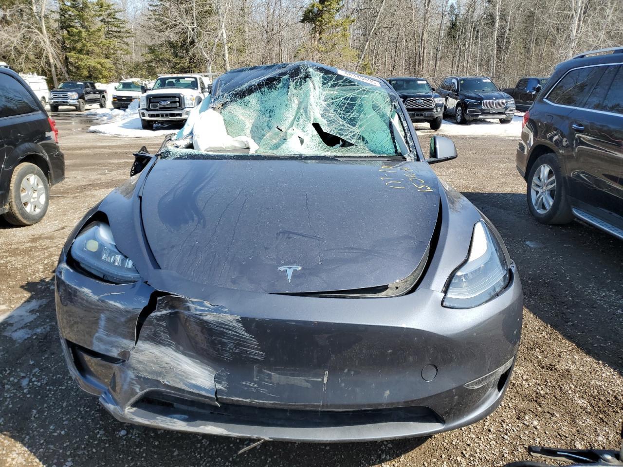 2023 TESLA MODEL Y - Фото 5