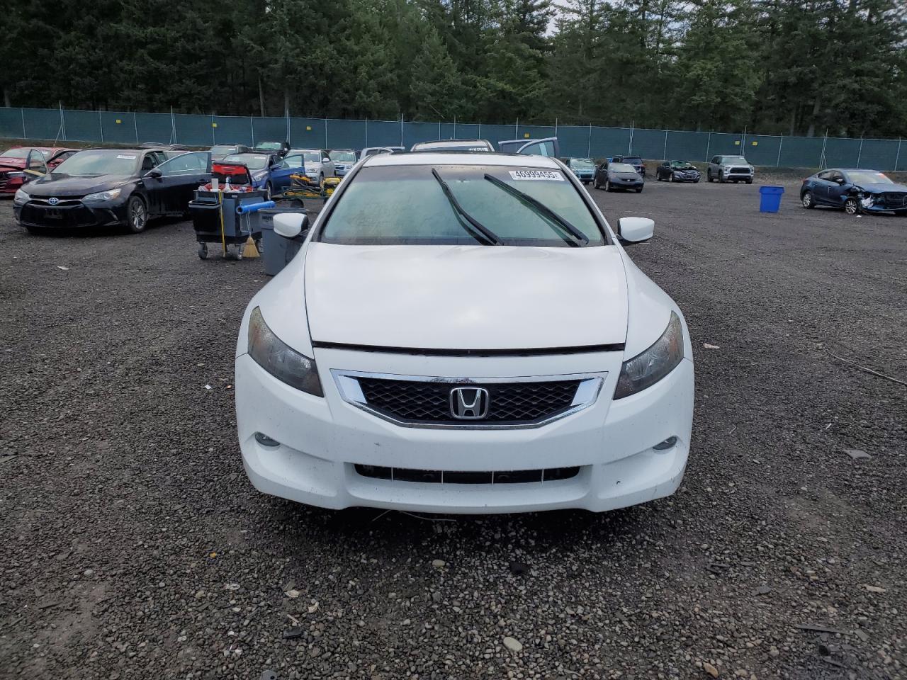 2010 HONDA ACCORD EXL - Image 5