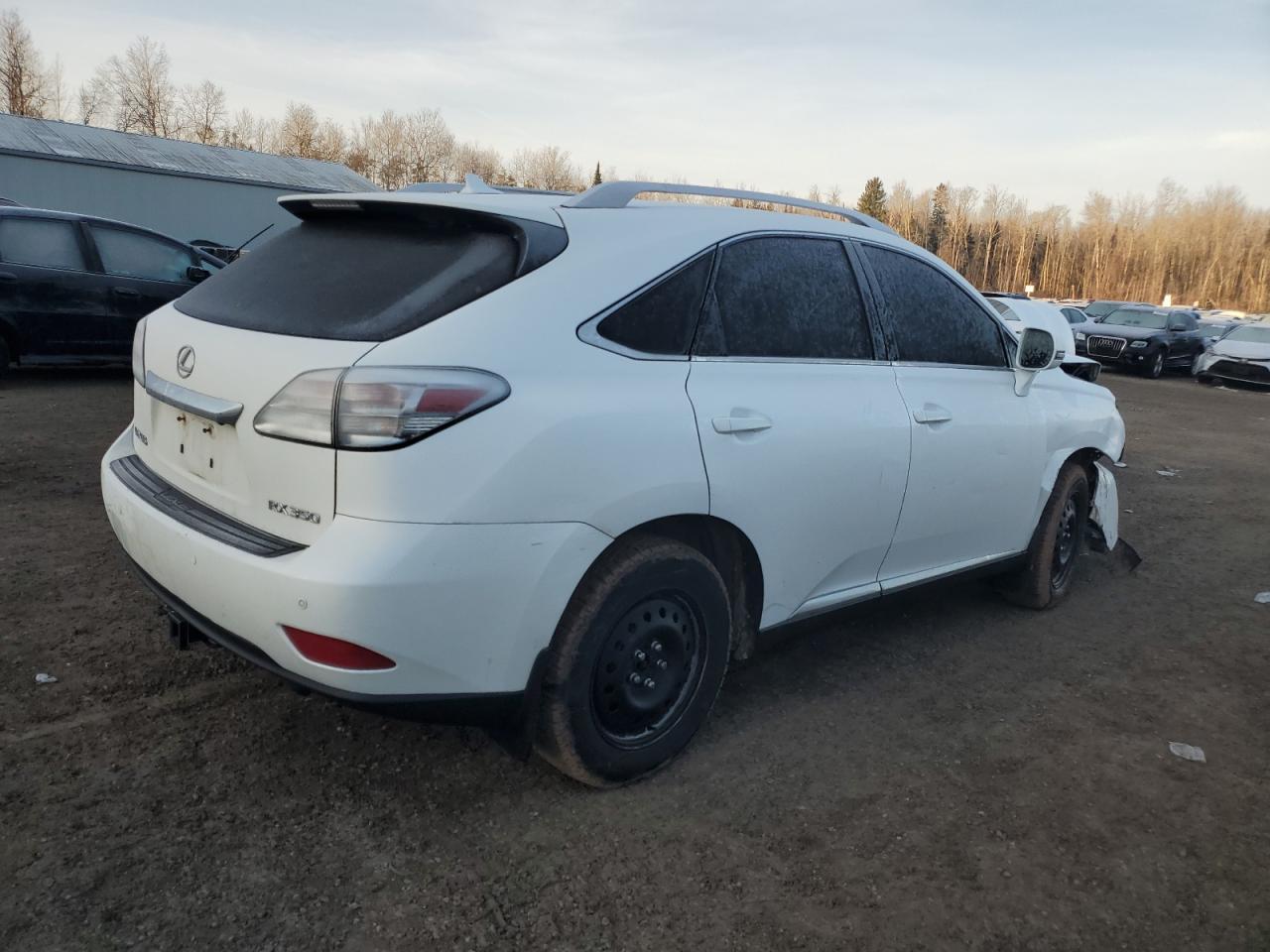 2010 LEXUS RX 350 - Фото 3