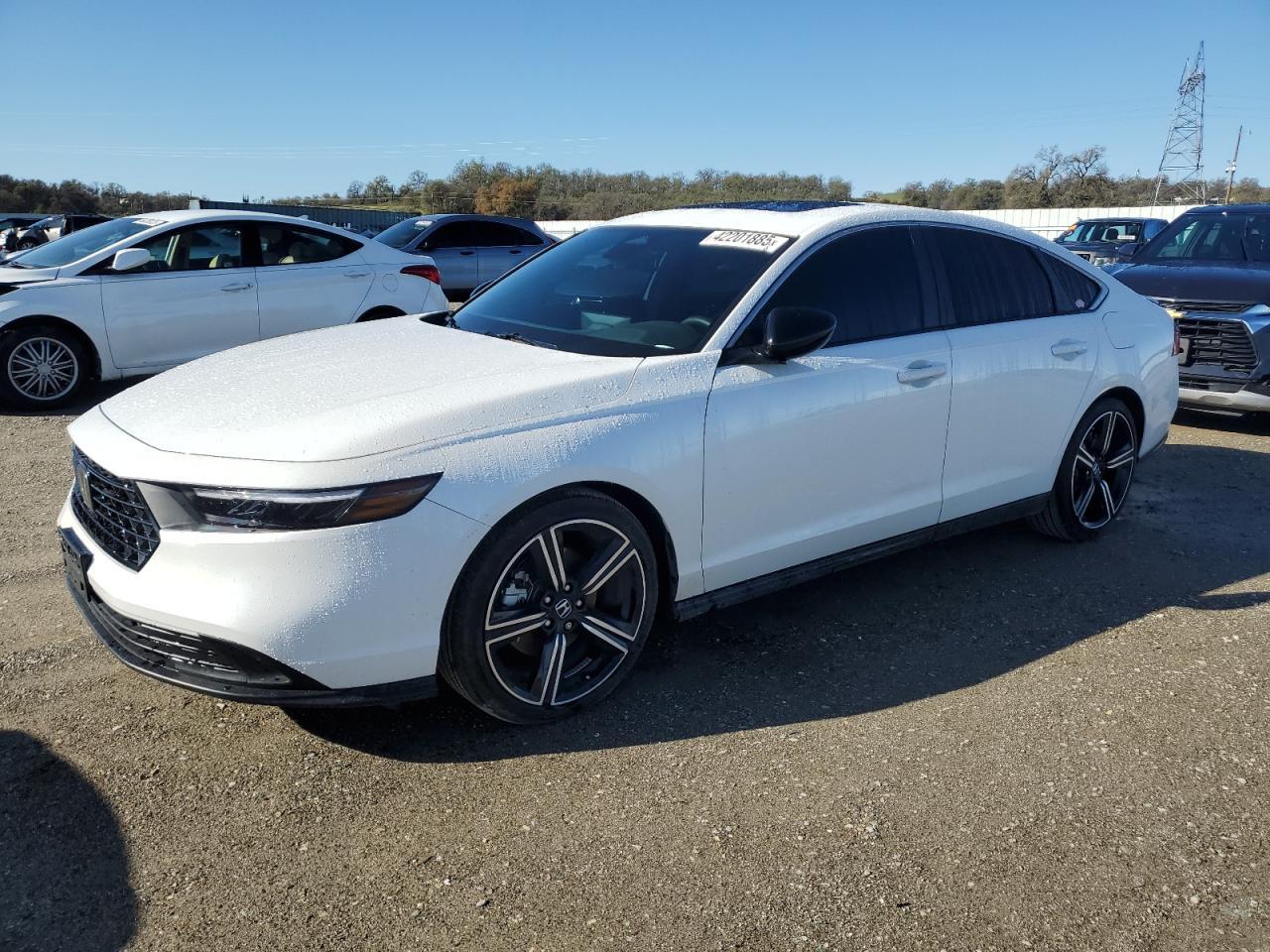 2024 HONDA ACCORD HYB