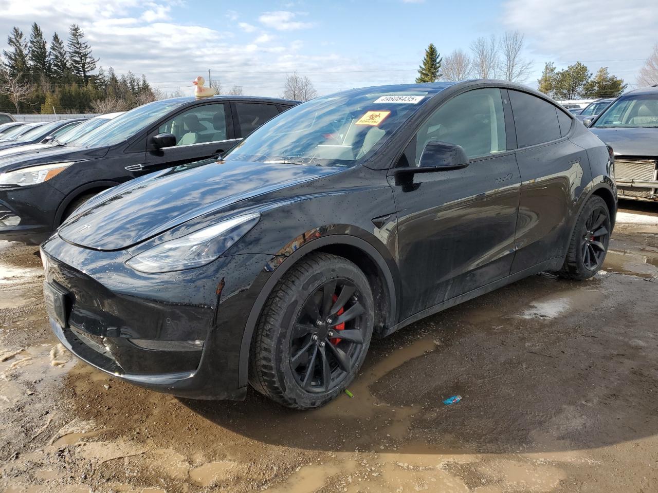2022 TESLA MODEL Y