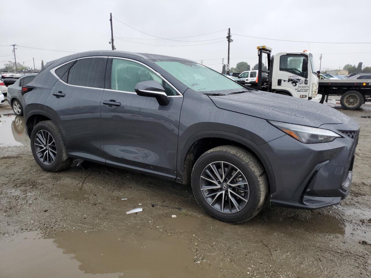 2023 LEXUS NX 350 - Image 4