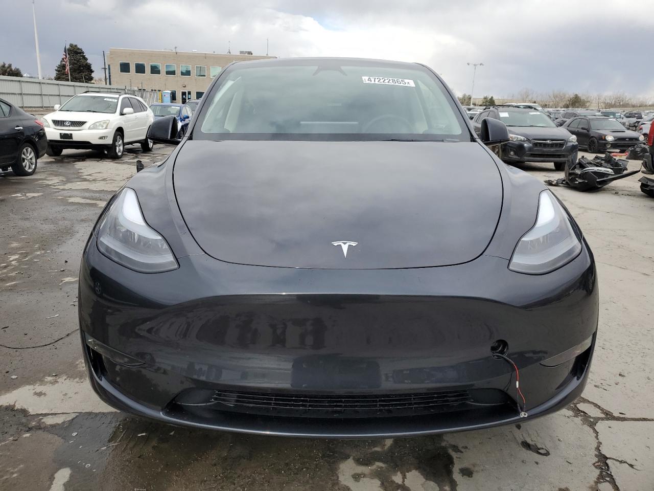 2025 TESLA MODEL Y - Image 5